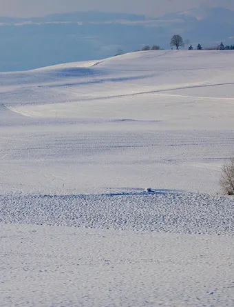 zima