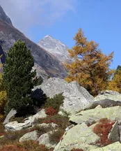 d-pazdziernik